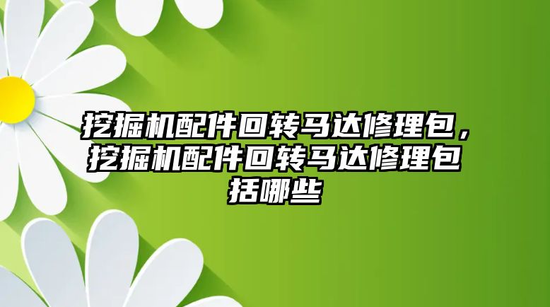 挖掘機配件回轉馬達修理包，挖掘機配件回轉馬達修理包括哪些