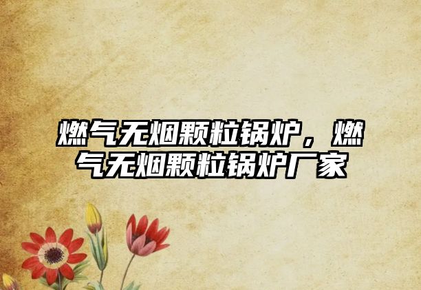 燃?xì)鉄o煙顆粒鍋爐，燃?xì)鉄o煙顆粒鍋爐廠家