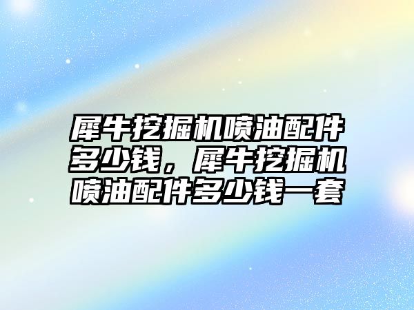 犀牛挖掘機(jī)噴油配件多少錢，犀牛挖掘機(jī)噴油配件多少錢一套