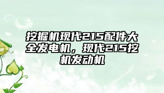 挖掘機現(xiàn)代215配件大全發(fā)電機，現(xiàn)代215挖機發(fā)動機