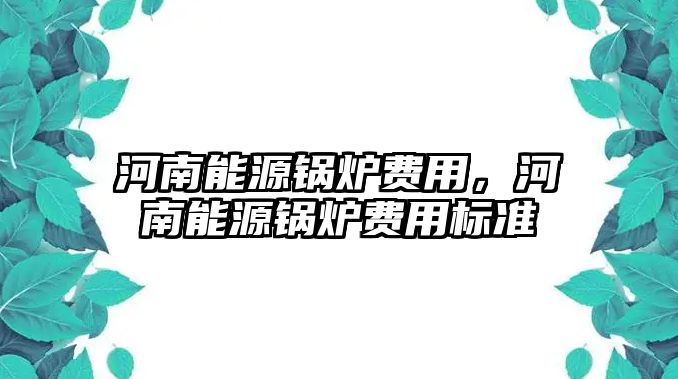 河南能源鍋爐費用，河南能源鍋爐費用標準