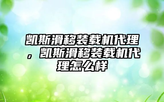 凱斯滑移裝載機代理，凱斯滑移裝載機代理怎么樣