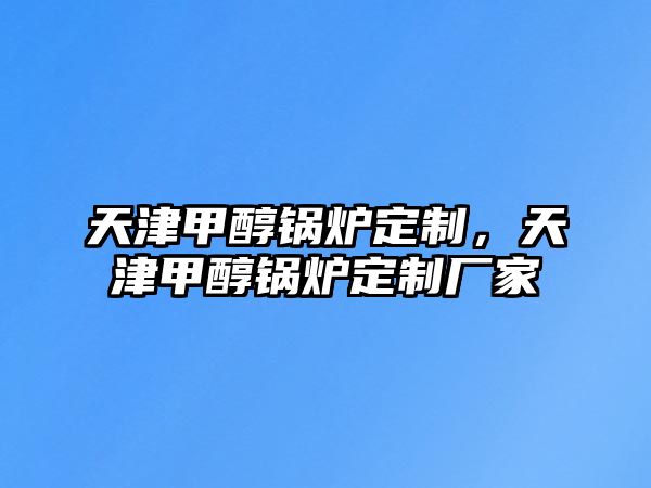 天津甲醇鍋爐定制，天津甲醇鍋爐定制廠家