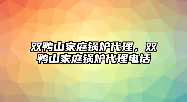 雙鴨山家庭鍋爐代理，雙鴨山家庭鍋爐代理電話