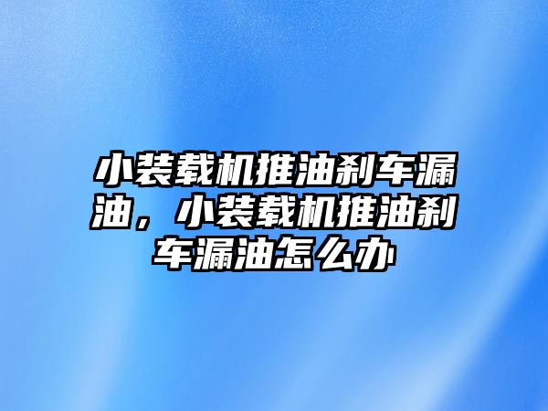 小裝載機推油剎車漏油，小裝載機推油剎車漏油怎么辦