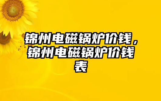 錦州電磁鍋爐價(jià)錢(qián)，錦州電磁鍋爐價(jià)錢(qián)表