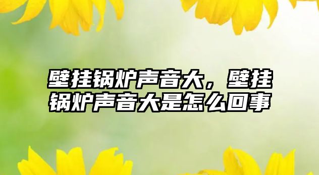 壁掛鍋爐聲音大，壁掛鍋爐聲音大是怎么回事