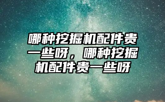 哪種挖掘機配件貴一些呀，哪種挖掘機配件貴一些呀