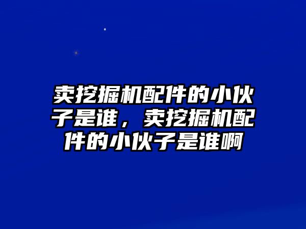 賣挖掘機(jī)配件的小伙子是誰，賣挖掘機(jī)配件的小伙子是誰啊