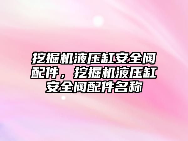 挖掘機液壓缸安全閥配件，挖掘機液壓缸安全閥配件名稱