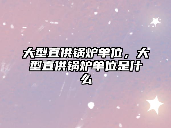 大型直供鍋爐單位，大型直供鍋爐單位是什么