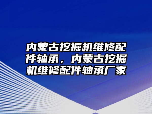 內(nèi)蒙古挖掘機維修配件軸承，內(nèi)蒙古挖掘機維修配件軸承廠家