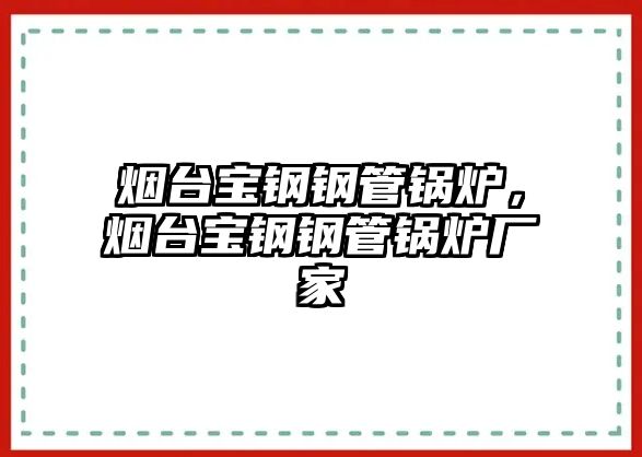 煙臺寶鋼鋼管鍋爐，煙臺寶鋼鋼管鍋爐廠家