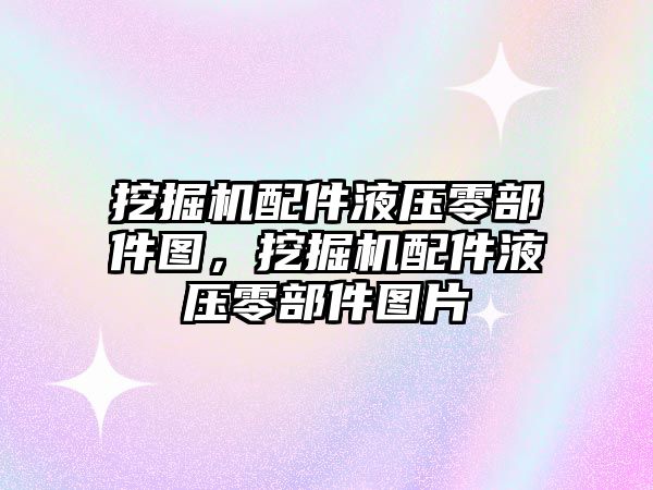 挖掘機配件液壓零部件圖，挖掘機配件液壓零部件圖片