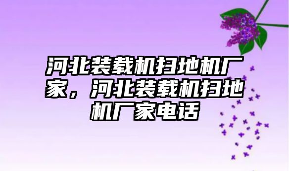 河北裝載機(jī)掃地機(jī)廠家，河北裝載機(jī)掃地機(jī)廠家電話