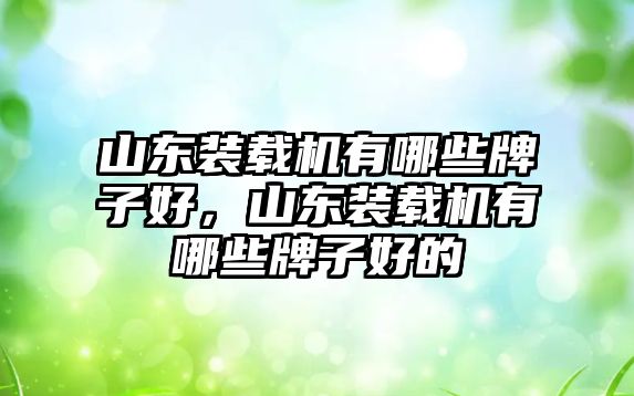 山東裝載機有哪些牌子好，山東裝載機有哪些牌子好的