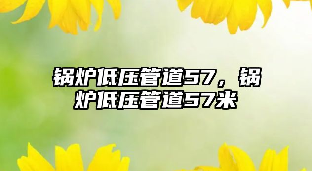 鍋爐低壓管道57，鍋爐低壓管道57米