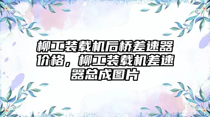 柳工裝載機(jī)后橋差速器價格，柳工裝載機(jī)差速器總成圖片