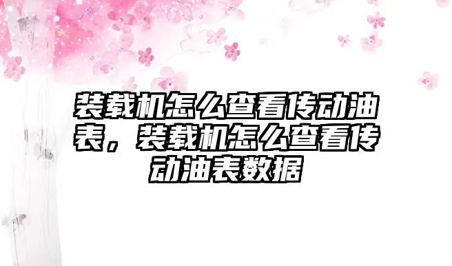 裝載機(jī)怎么查看傳動油表，裝載機(jī)怎么查看傳動油表數(shù)據(jù)