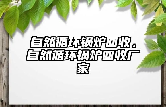 自然循環(huán)鍋爐回收，自然循環(huán)鍋爐回收廠家