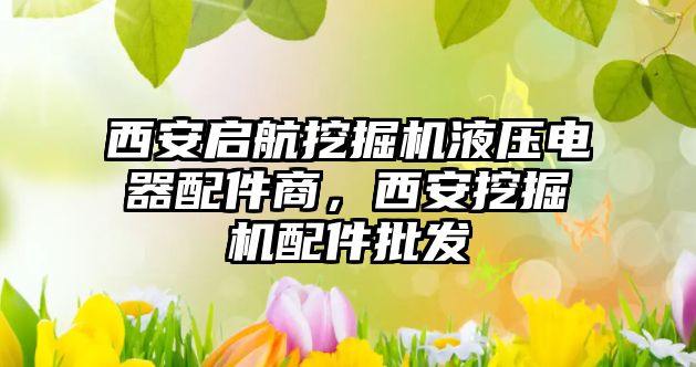 西安啟航挖掘機液壓電器配件商，西安挖掘機配件批發(fā)