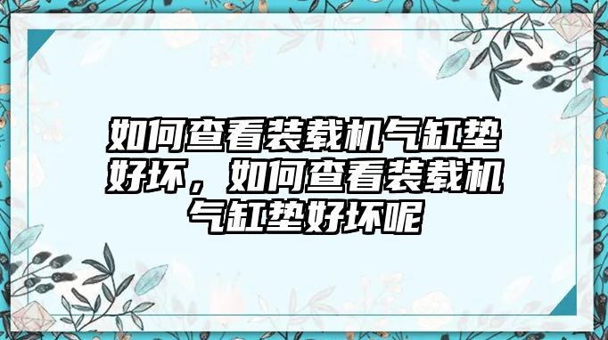 如何查看裝載機氣缸墊好壞，如何查看裝載機氣缸墊好壞呢