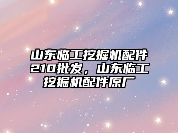 山東臨工挖掘機配件210批發(fā)，山東臨工挖掘機配件原廠