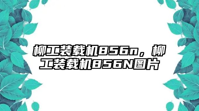 柳工裝載機(jī)856n，柳工裝載機(jī)856N圖片