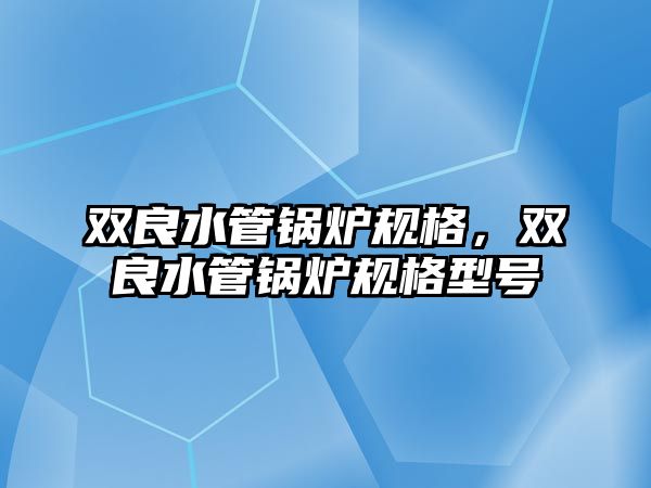 雙良水管鍋爐規(guī)格，雙良水管鍋爐規(guī)格型號