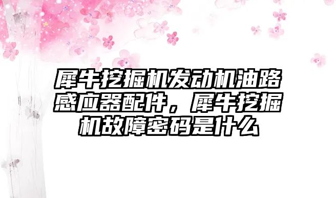 犀牛挖掘機發(fā)動機油路感應器配件，犀牛挖掘機故障密碼是什么