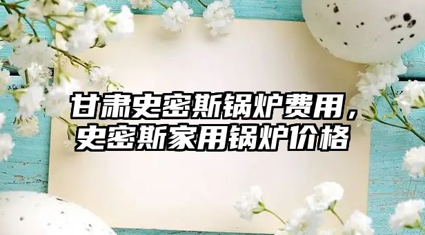 甘肅史密斯鍋爐費用，史密斯家用鍋爐價格