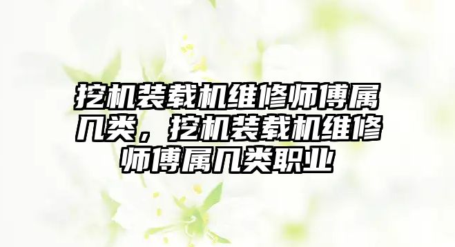 挖機裝載機維修師傅屬幾類，挖機裝載機維修師傅屬幾類職業(yè)