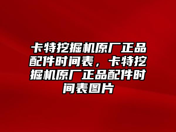 卡特挖掘機(jī)原廠正品配件時(shí)間表，卡特挖掘機(jī)原廠正品配件時(shí)間表圖片