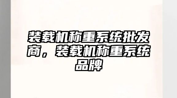 裝載機(jī)稱重系統(tǒng)批發(fā)商，裝載機(jī)稱重系統(tǒng)品牌