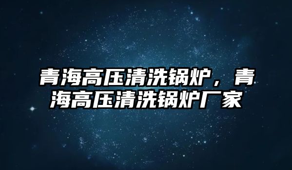 青海高壓清洗鍋爐，青海高壓清洗鍋爐廠家