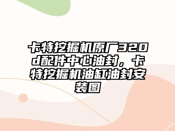 卡特挖掘機(jī)原廠320d配件中心油封，卡特挖掘機(jī)油缸油封安裝圖