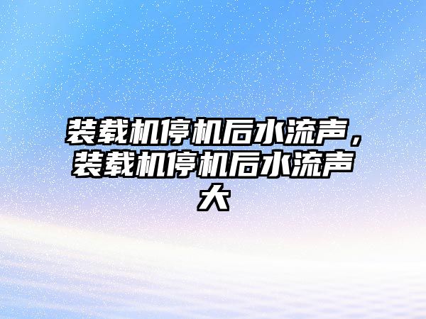 裝載機停機后水流聲，裝載機停機后水流聲大