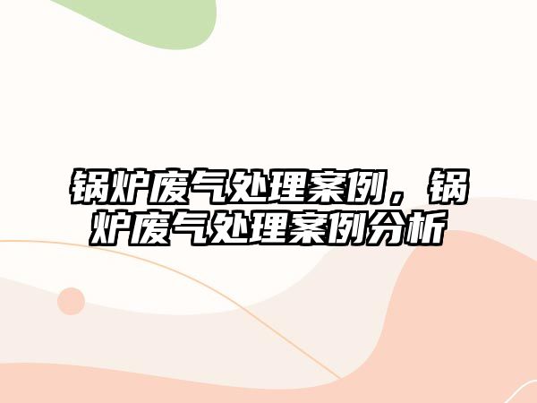 鍋爐廢氣處理案例，鍋爐廢氣處理案例分析