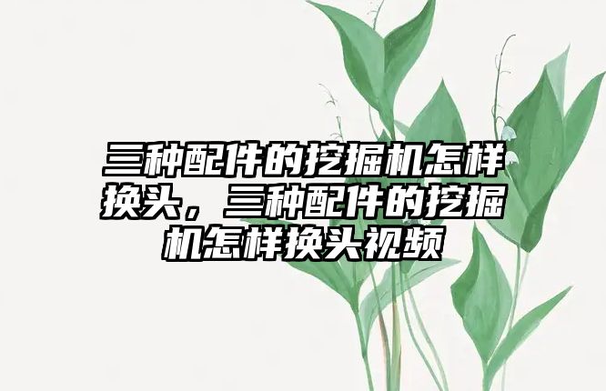 三種配件的挖掘機怎樣換頭，三種配件的挖掘機怎樣換頭視頻