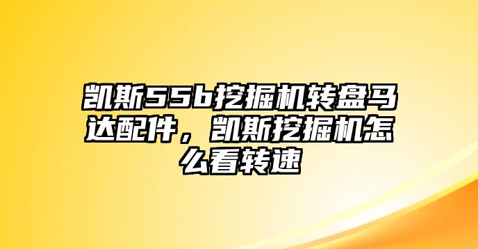 凱斯55b挖掘機(jī)轉(zhuǎn)盤馬達(dá)配件，凱斯挖掘機(jī)怎么看轉(zhuǎn)速