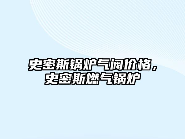 史密斯鍋爐氣閥價(jià)格，史密斯燃?xì)忮仩t