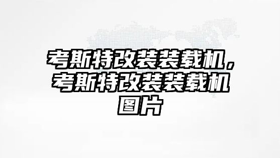 考斯特改裝裝載機(jī)，考斯特改裝裝載機(jī)圖片