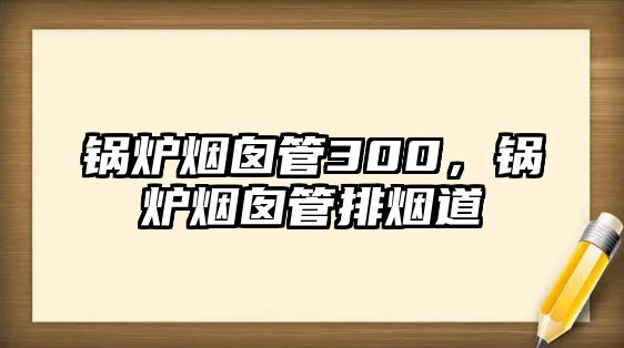 鍋爐煙囪管300，鍋爐煙囪管排煙道