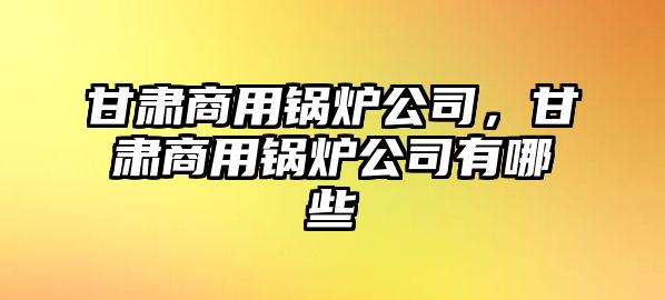 甘肅商用鍋爐公司，甘肅商用鍋爐公司有哪些