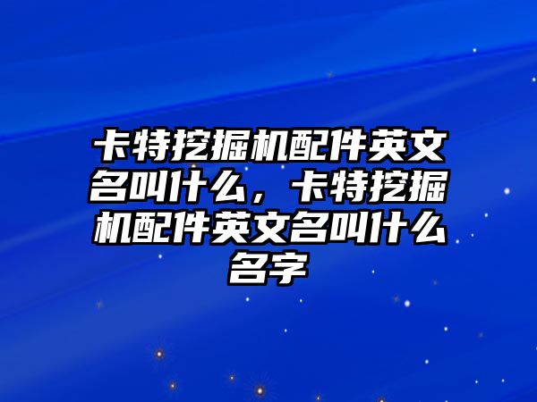 卡特挖掘機配件英文名叫什么，卡特挖掘機配件英文名叫什么名字