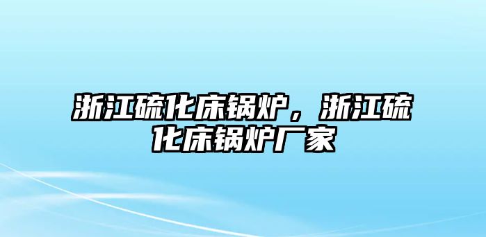 浙江硫化床鍋爐，浙江硫化床鍋爐廠家