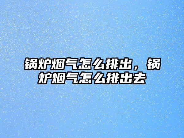 鍋爐煙氣怎么排出，鍋爐煙氣怎么排出去