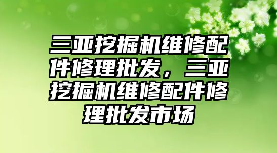 三亞挖掘機維修配件修理批發(fā)，三亞挖掘機維修配件修理批發(fā)市場