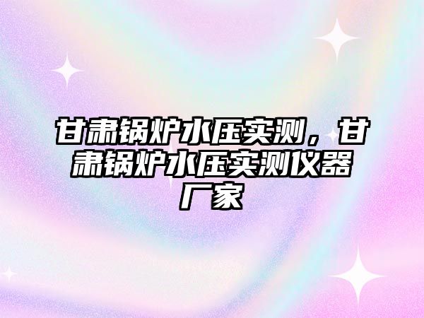 甘肅鍋爐水壓實測，甘肅鍋爐水壓實測儀器廠家