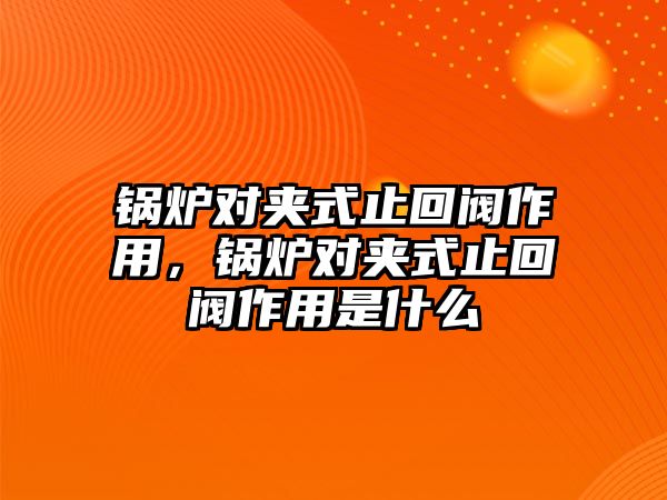 鍋爐對夾式止回閥作用，鍋爐對夾式止回閥作用是什么